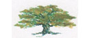 Logo of Greenwood Oak Timber Framing Co