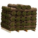 Roll Pallet