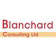 blanchardconsult.jpg Logo