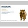 Kodiak Ltd Website Screenshot