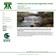 Property & Land Surveys Ltd Website Screenshot